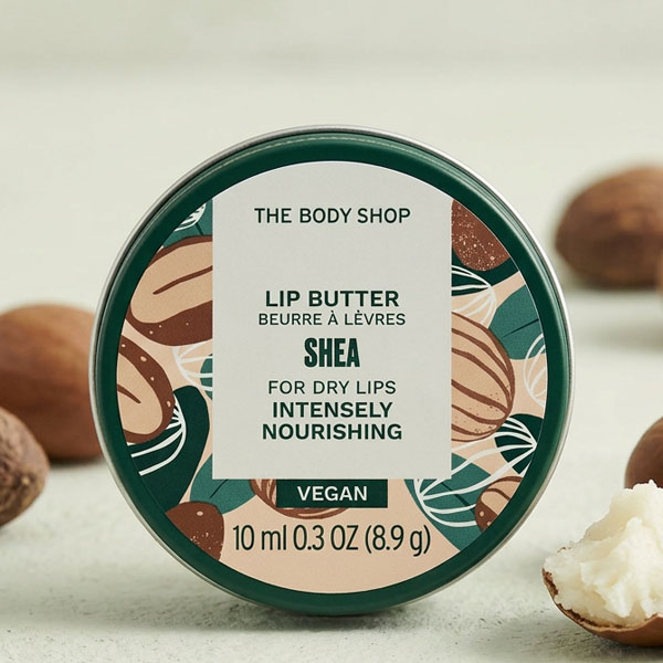 Body shop Shea Lip Butter 